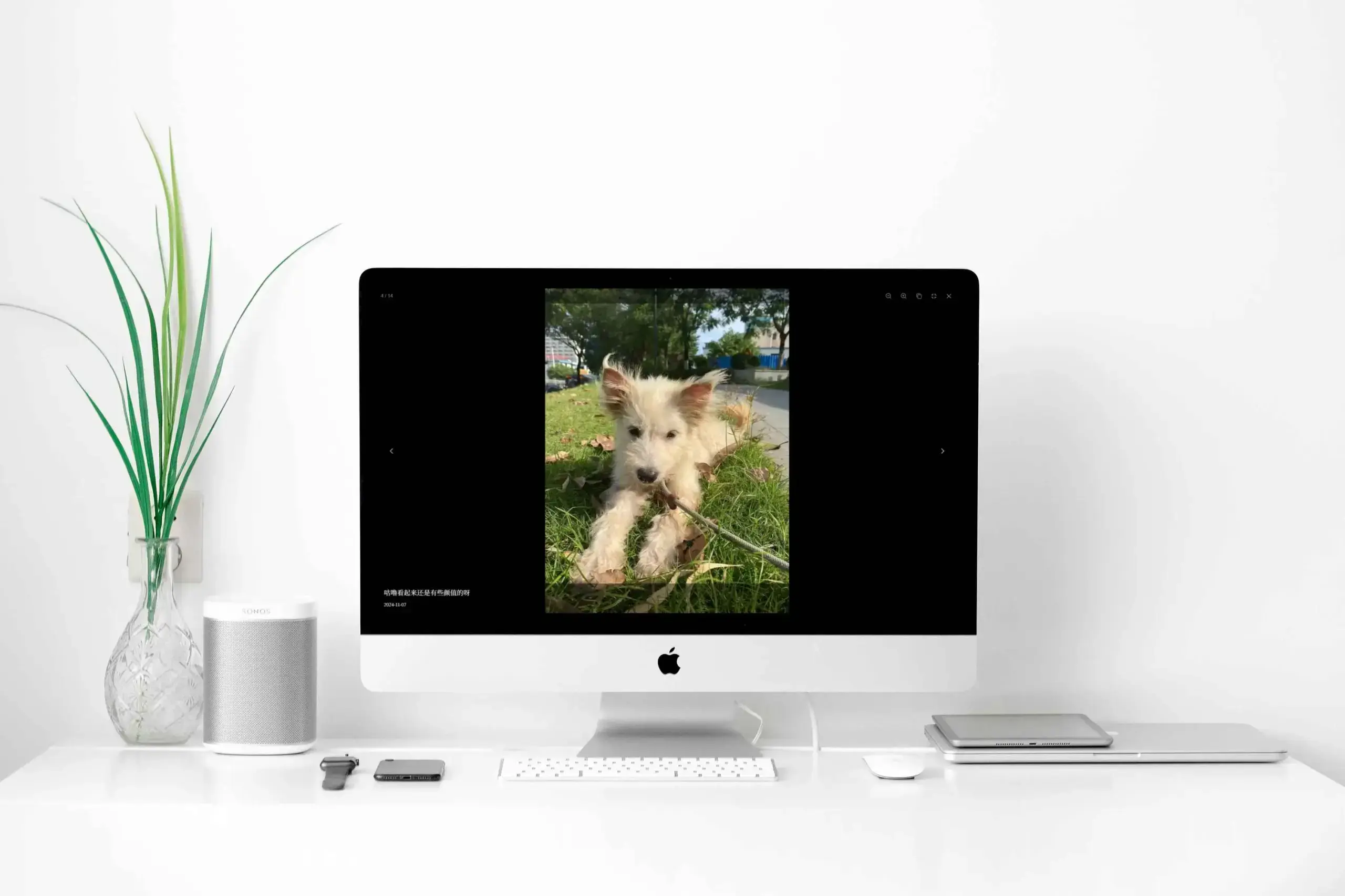LikeGirl v5.2.0 恋爱相册-2.webp LikeGirl v5.2.0 恋爱相册-2.webp
