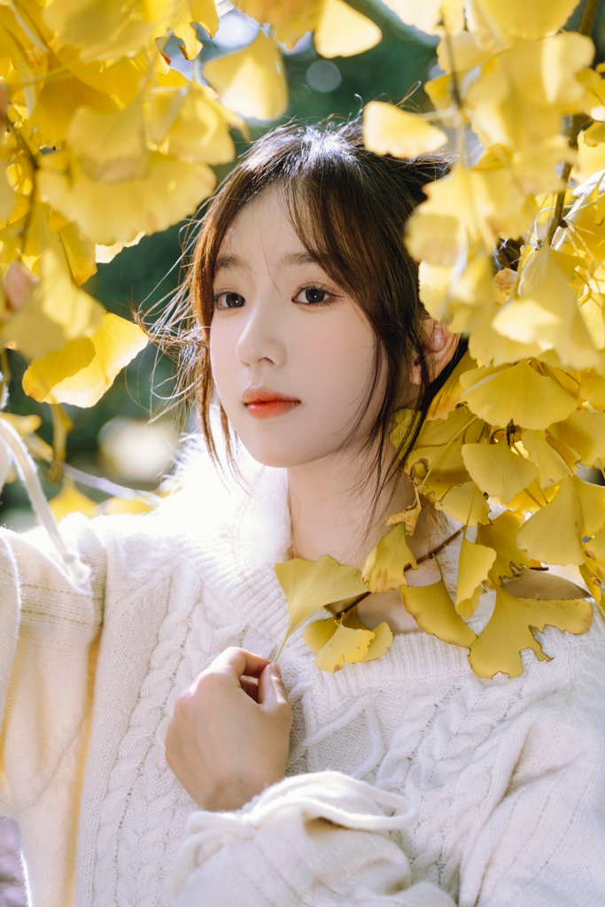 秋天的风，都是从往年吹来的。