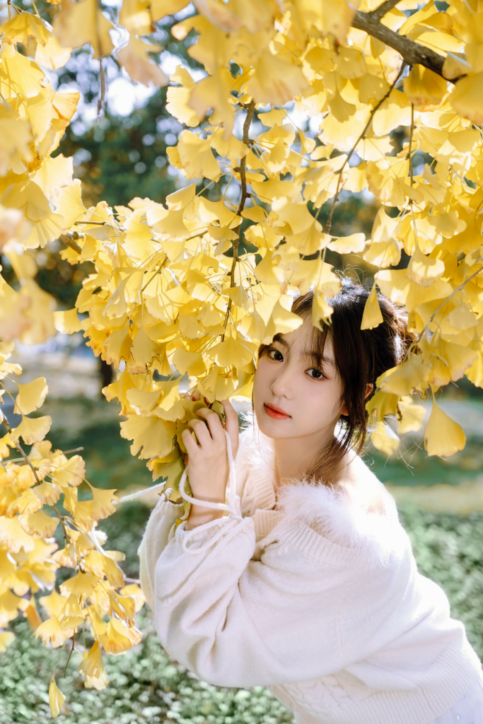 秋天的风，都是从往年吹来的。