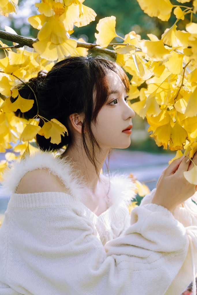 秋天的风，都是从往年吹来的。