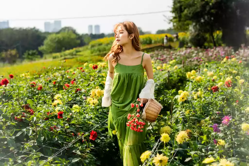 世间情动 是盛夏白瓷梅子汤 碎冰碰壁当啷响