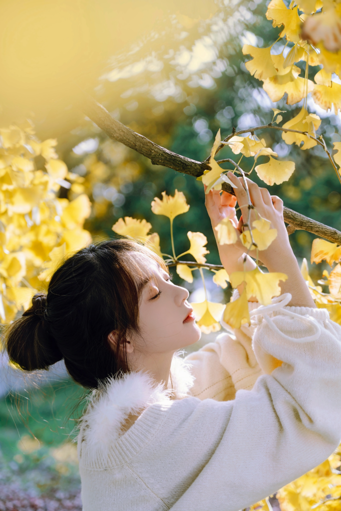 秋天的风，都是从往年吹来的。