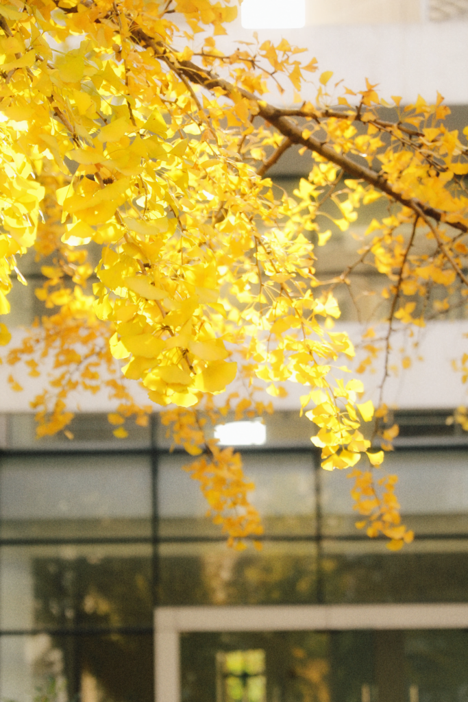 唯独见你，好似久旱逢雨，枯木逢春。