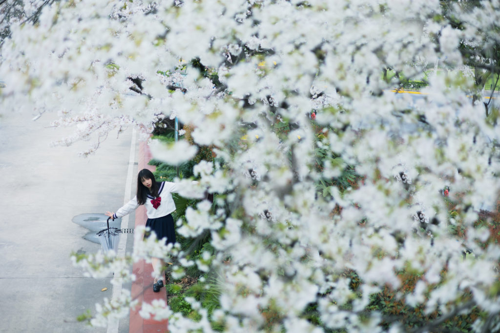 出现在别人的生活里要像一份礼物。